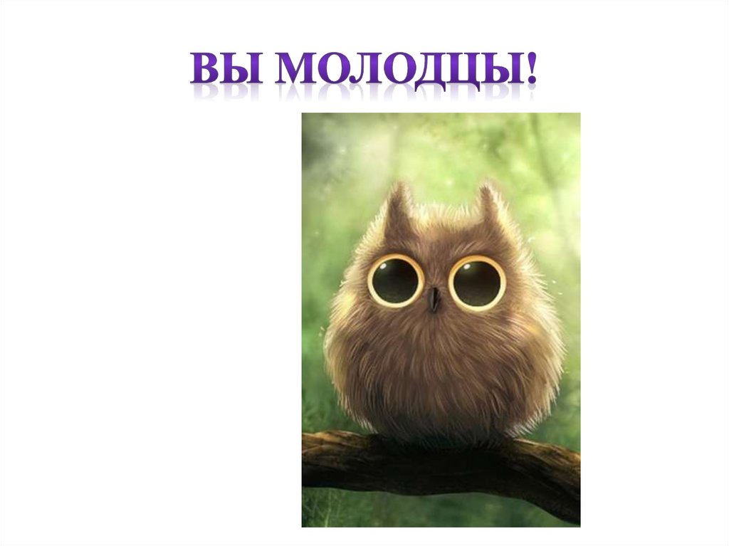 Вы молодцы!