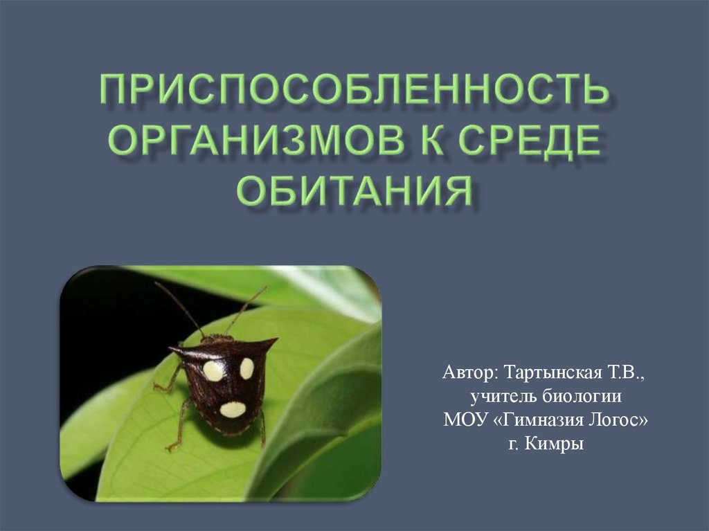 Презентация приспособленность организмов к среде обитания 5 класс презентация