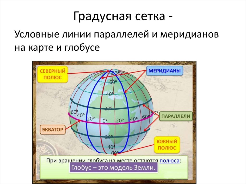 Утверждение о градусной сетке. Градусная сетка параллели и меридианы. Глобус с градусной сеткой. Карта с градусной сеткой. Показать параллели и меридианы на глобусе.