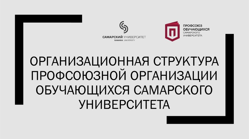 Организационная структура профсоюзной организации обучающихся самарского университета