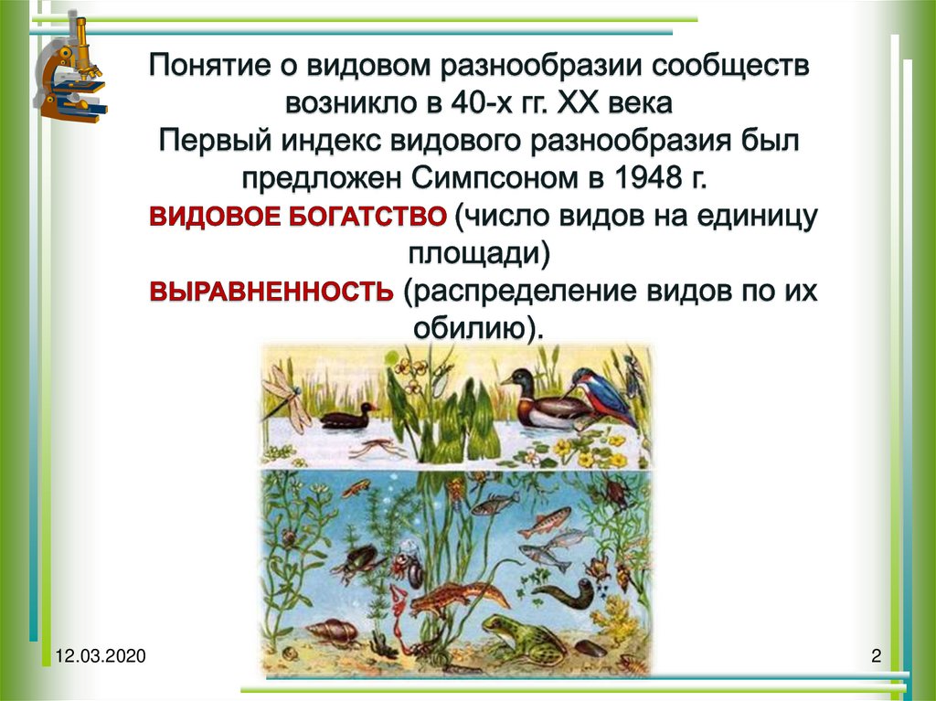 Определение понятий природное сообщество. Видовое разнообразие. Видовая структура сообщества. Видовое разнообразие примеры. Видовое разнообразие и видовая структура сообщества.