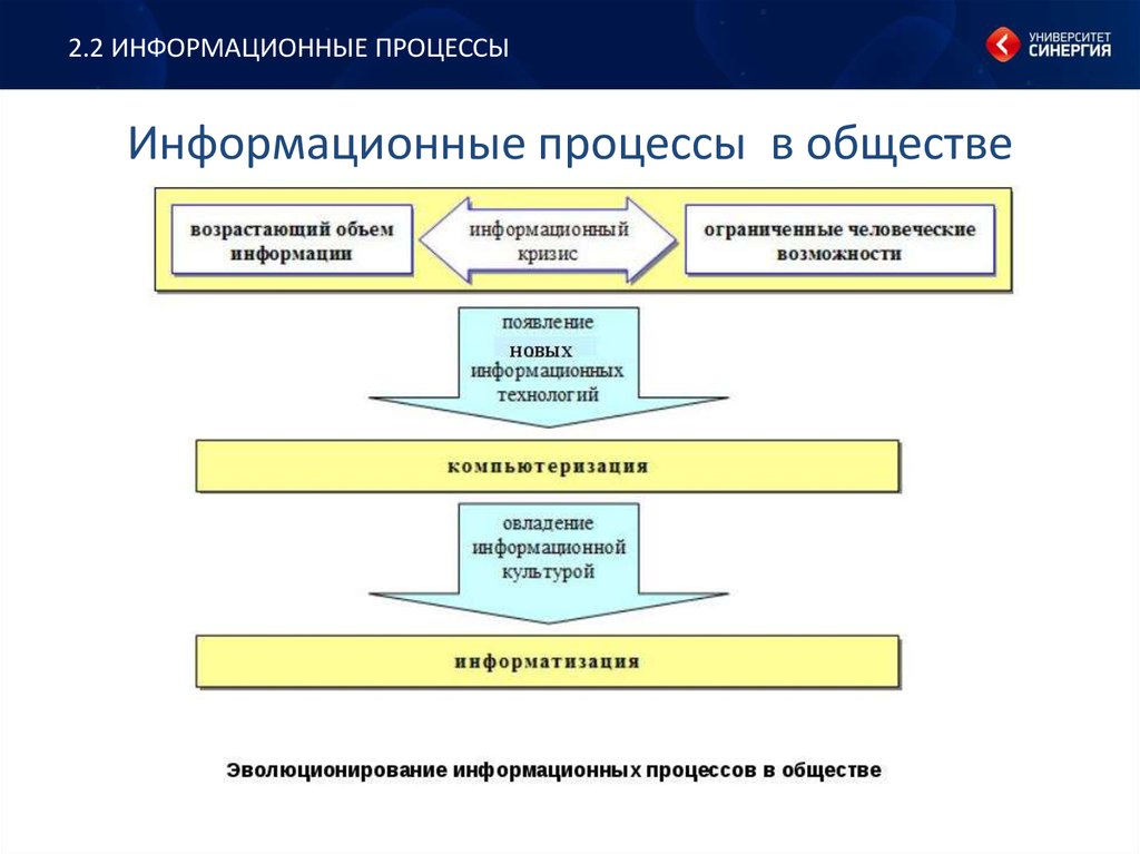 Информационная синергия. Процессы в обществе. Информационные процессы в обществе. Информационные процессы в информатике. Информационные процессы в социуме.