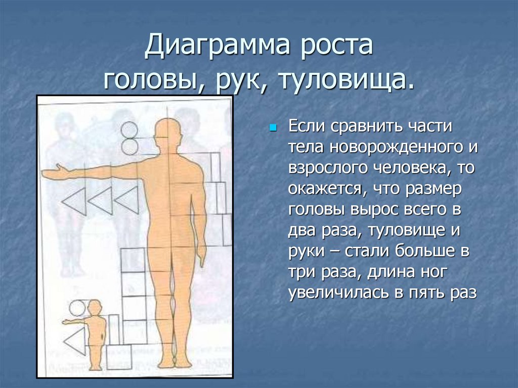 Рост и развитие ребенка после рождения презентация