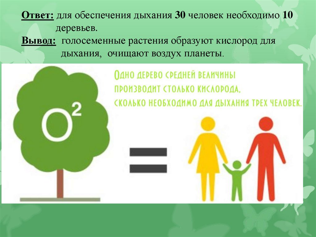 Сколько человек обеспечит кислородом. Сколько нужно деревьев для дыхания одного человека. Сколько деревьев нужно на 1 человека. Дерево выделяет кислород для дыхания человеком. Деревья потребляют кислород.