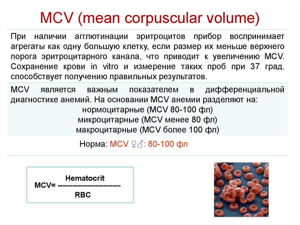 Уменьшенный объем эритроцитов. Объем эритроцитов MCV. MCV средний объем эритроцитов. MCV эритроциты. Норма MCV В крови.