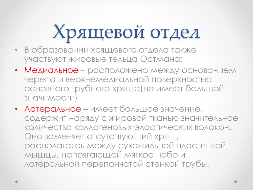 Хрящевой отдел