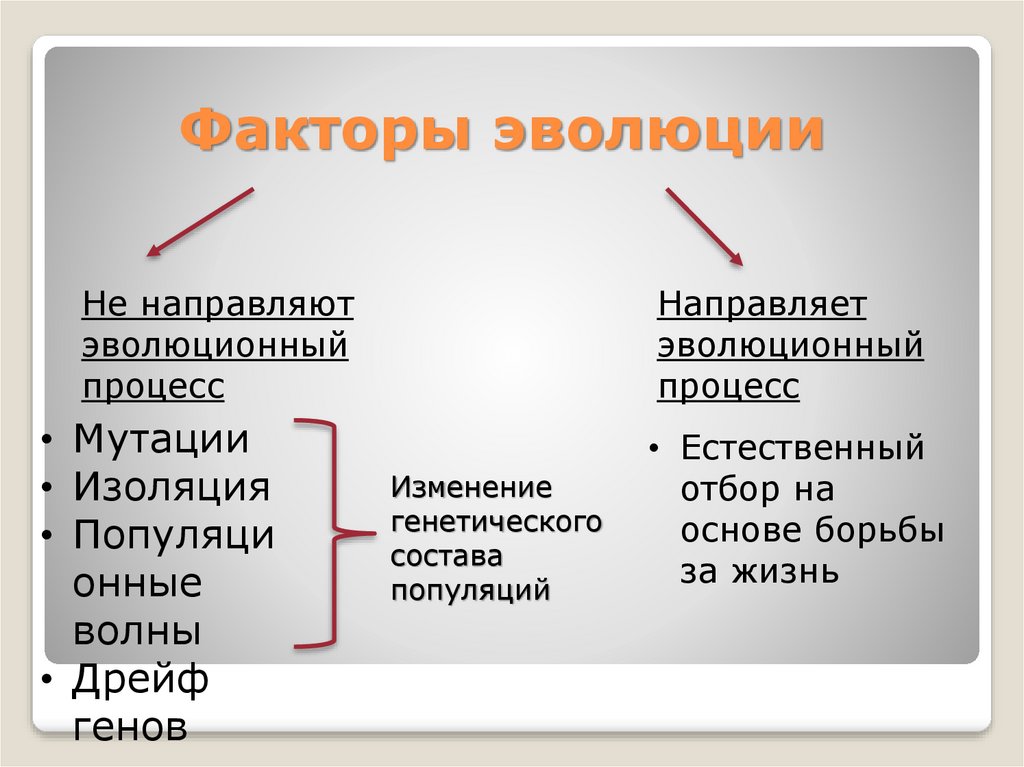 Схема факторов эволюции