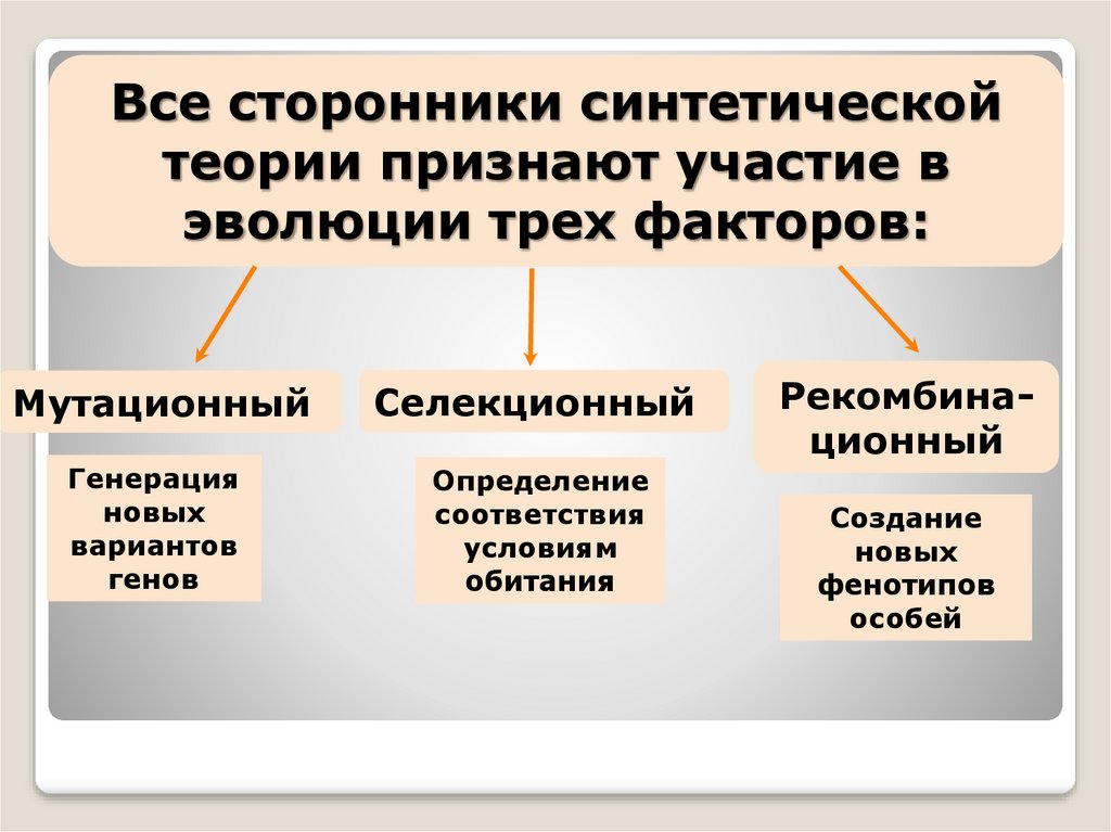 Основные направления эволюции теория