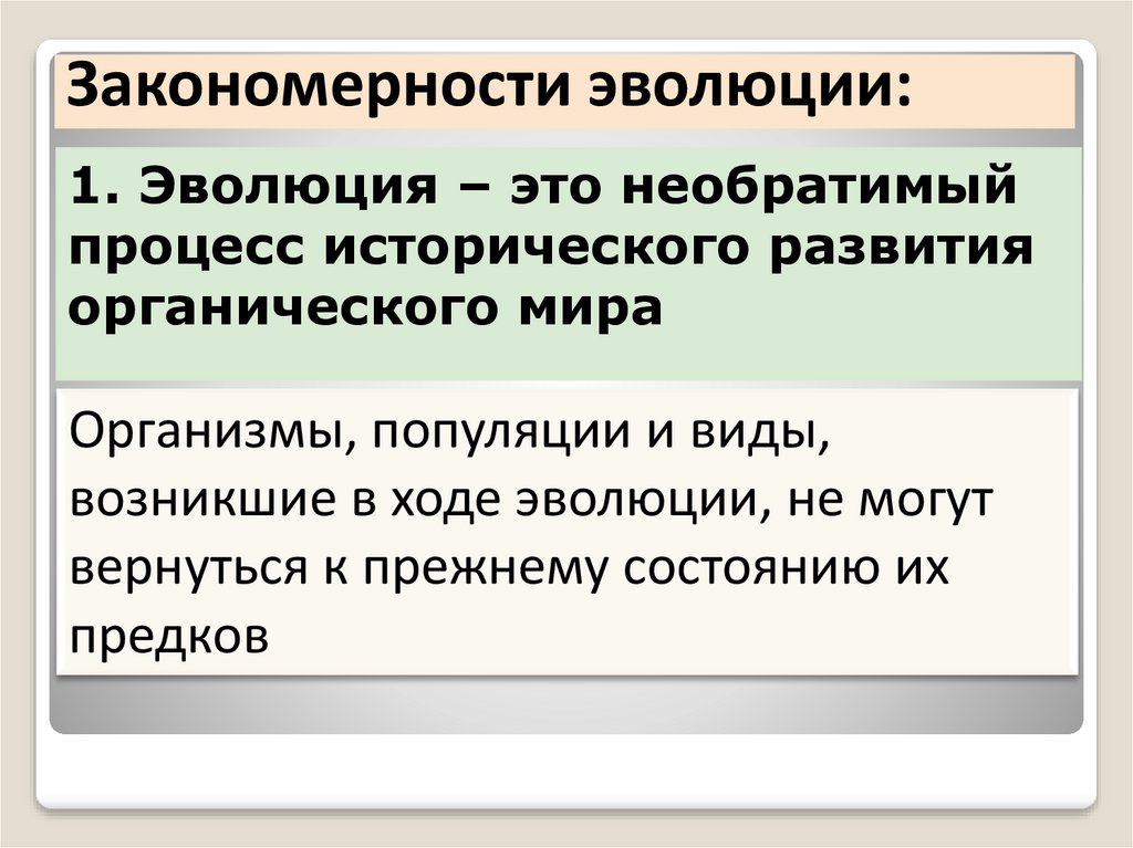 Презентация синтетическая теория эволюции 11 класс