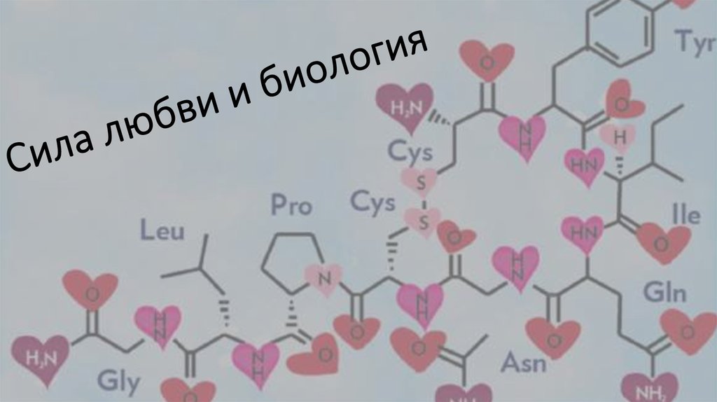 Окситоцин презентация биохимия