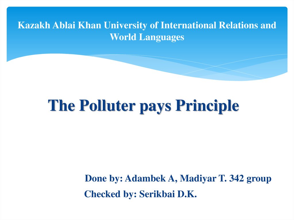 The polluter pays principle