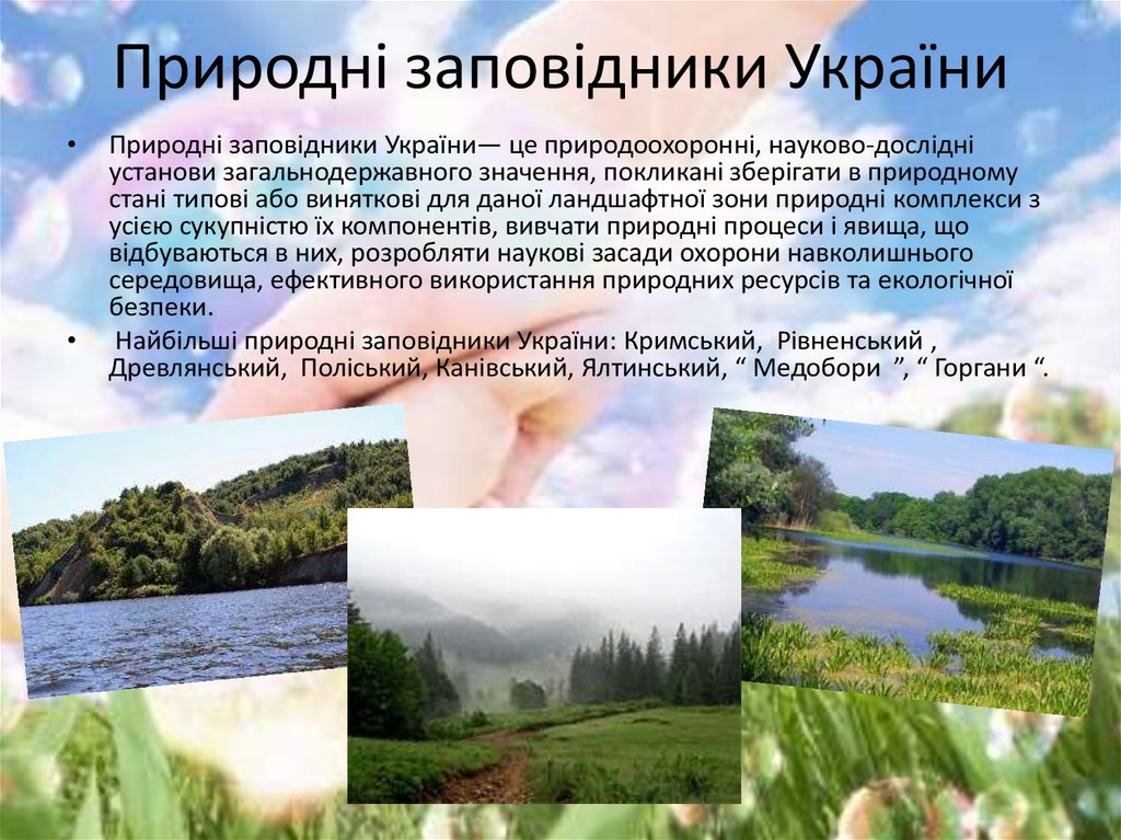 Природні заповідники України