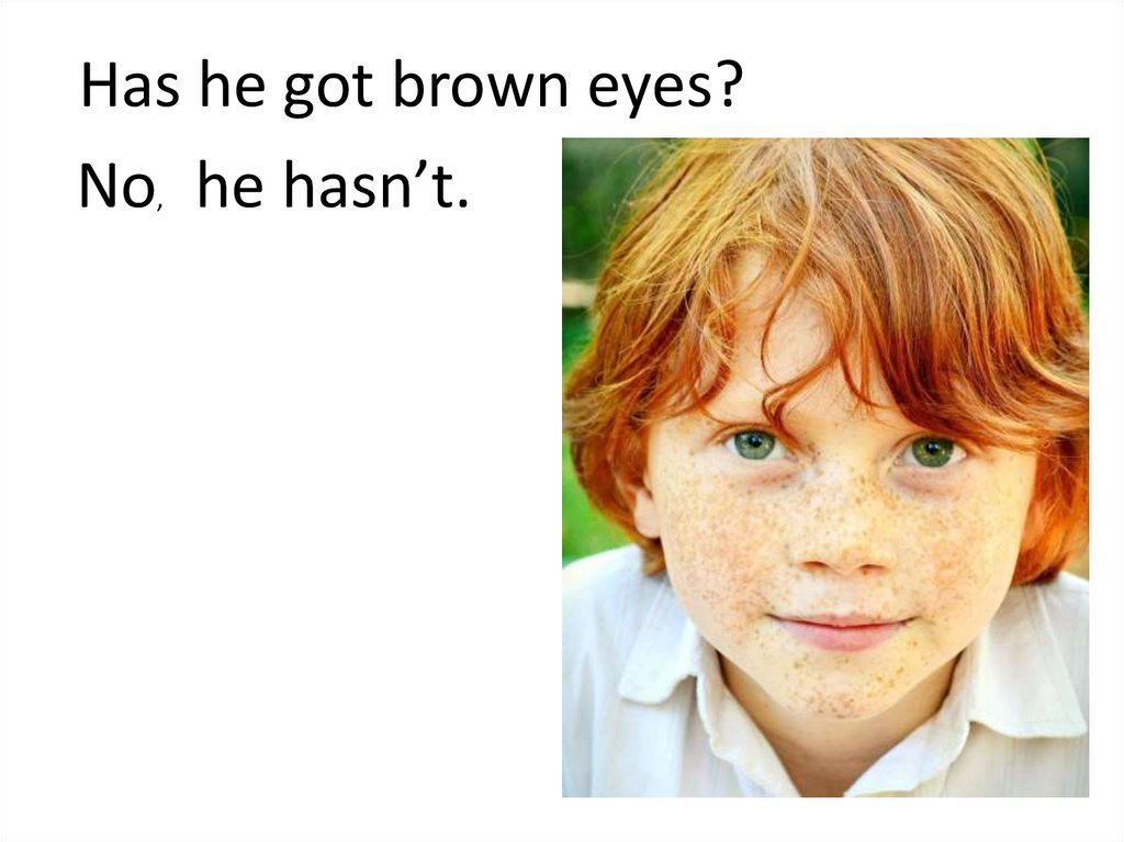 Has he got brown eyes?