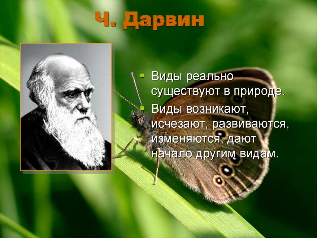 Биология термин вид. Понятие вид в биологии. Существующие в природе.