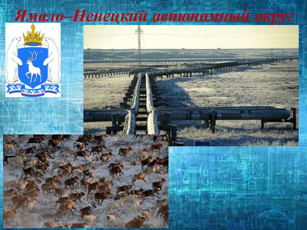 Ямало–Ненецкий автономный округ