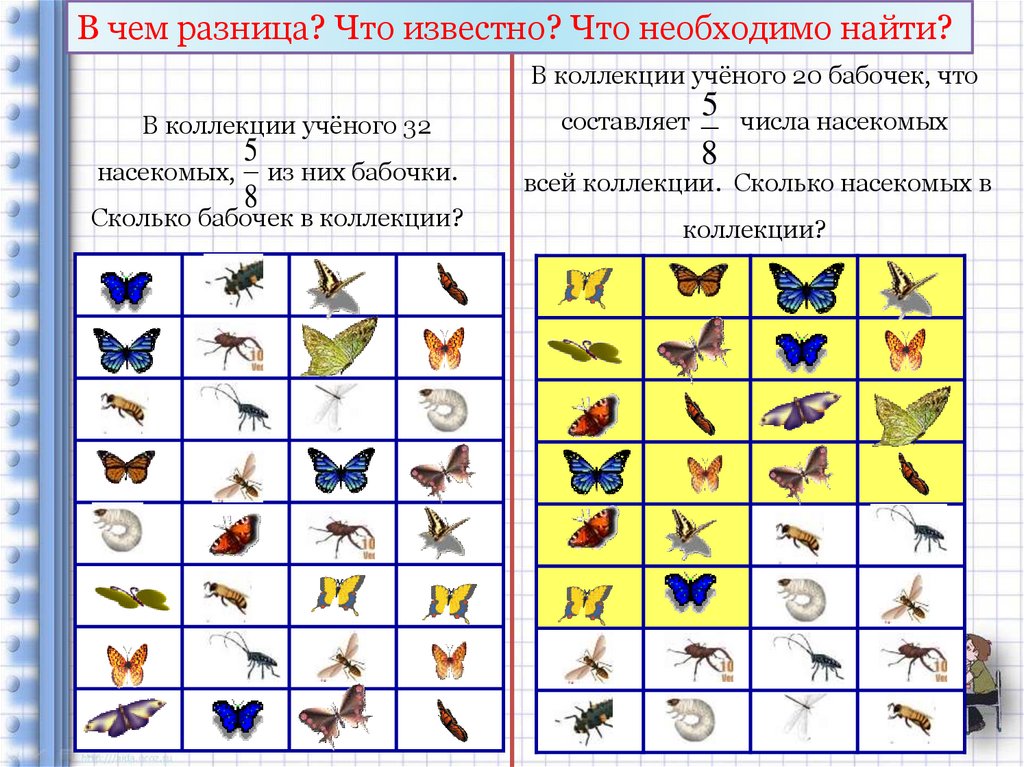 Сколько коллекции 2. Числа на насекомых. Сколько насекомых сколько птиц тест для первоклассника. Гузицу сколько всего в коллекции.