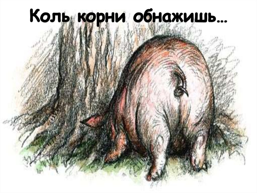 Коль корни обнажишь…