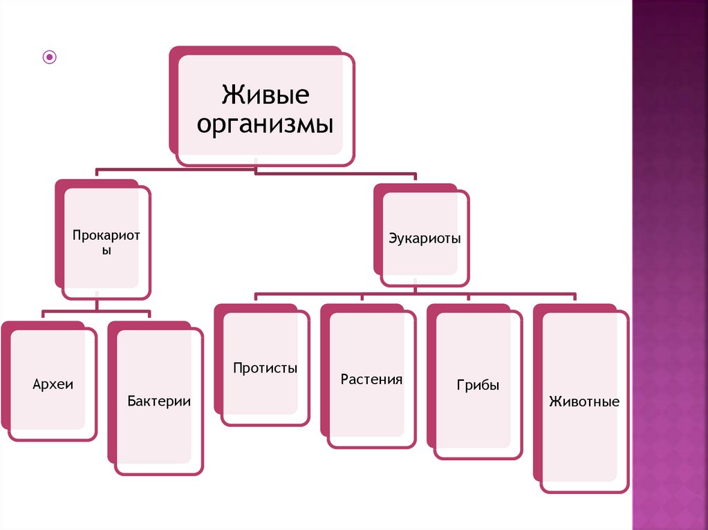 Заполните схему многообразие организмов