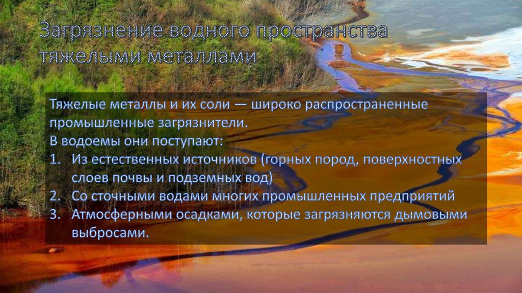 Загрязнение водного пространства тяжелыми металлами