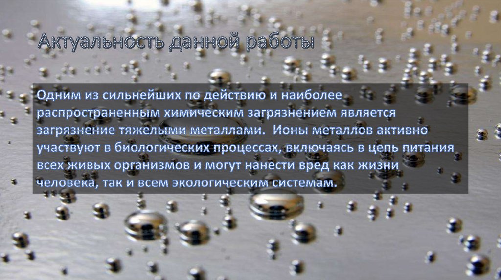 Актуальность данной работы