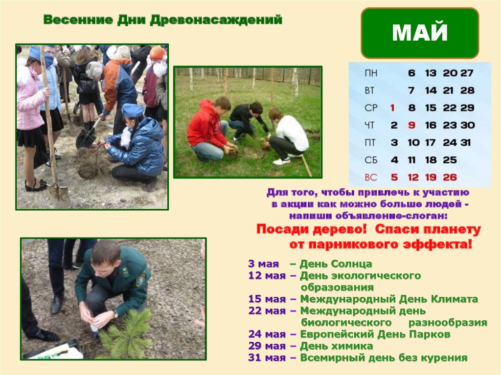 Экологические дни в году. Экологические дни. Календарь экологических дат. Важные даты в экологии. Международный день экологического образования.