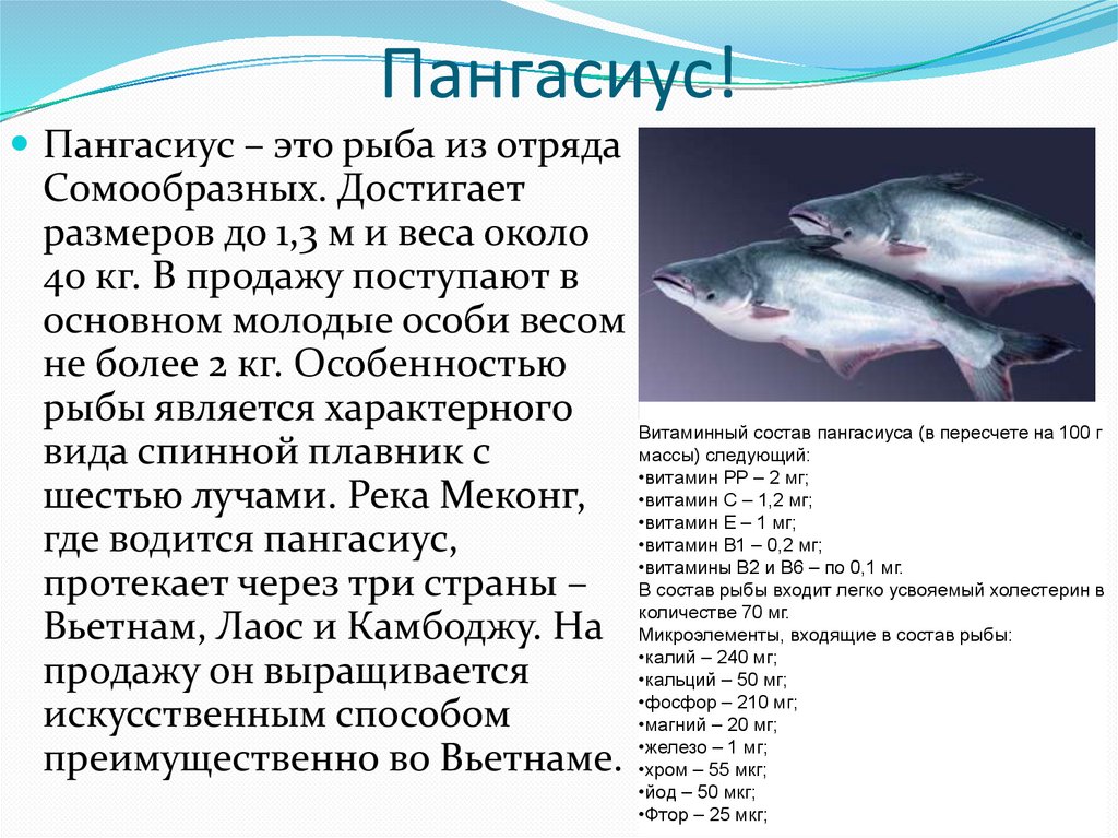 6 класс русский язык рыб. Пангасиус. Морская рыба пангасиус. Фото рыбы пангасиуса. Фотографию рыбы пангасиус.