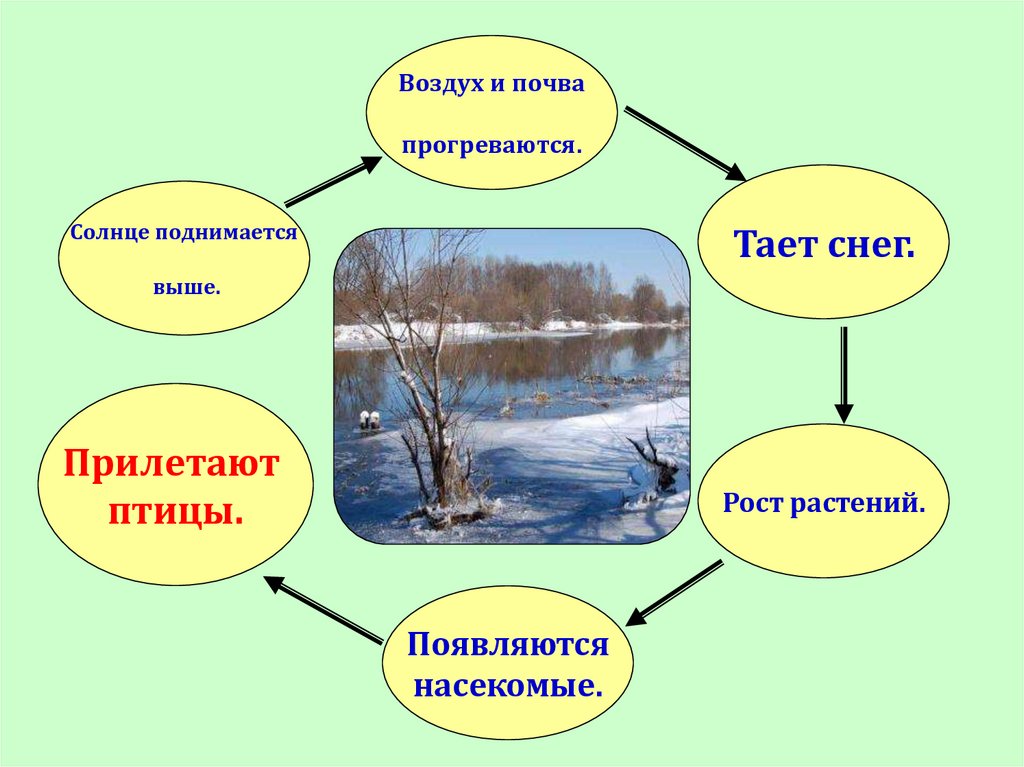 План на тему сезонные изменения в растительном сообществе