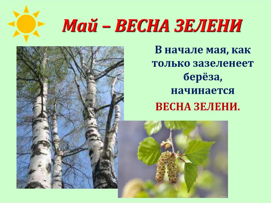 Презентация изменения в природе весной. Весенние изменения в природе. Изменения в природе в мае картинки.