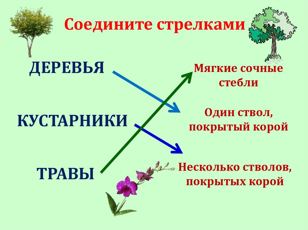 Весенние изменения в природе 1 класс презентация