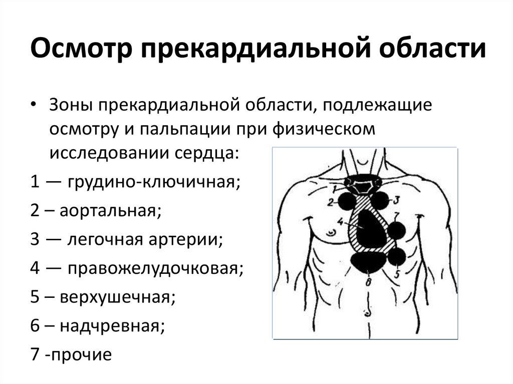 Пальпация сердца. Методика пальпации прекардиальной области. Пальпация прекардиальной области пропедевтика. Осмотр и пальпация области сердца пропедевтика. Прикординальная область.