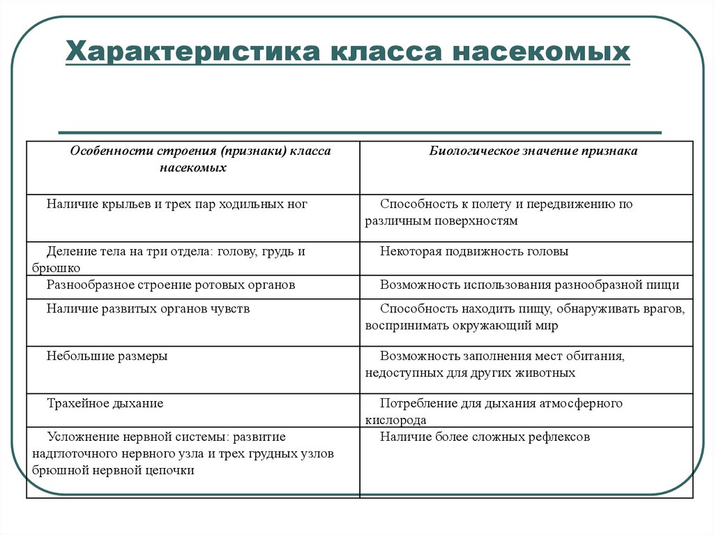 План характеристики насекомых