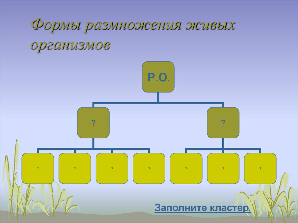 Размножение живых организмов презентация