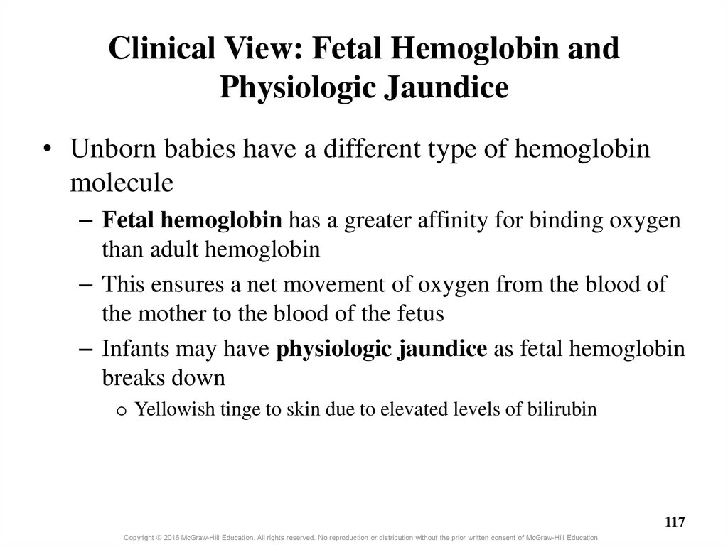 Clinical View: Fetal Hemoglobin and Physiologic Jaundice