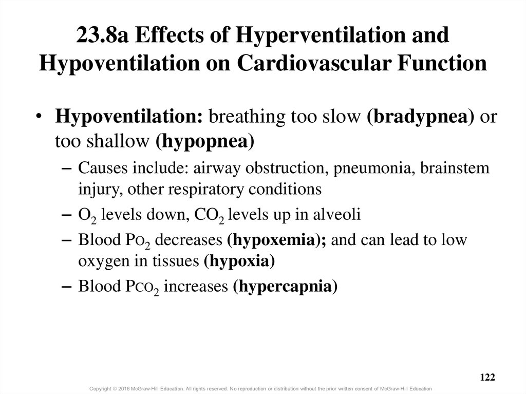23.8a Effects of Hyperventilation and Hypoventilation on Cardiovascular Function