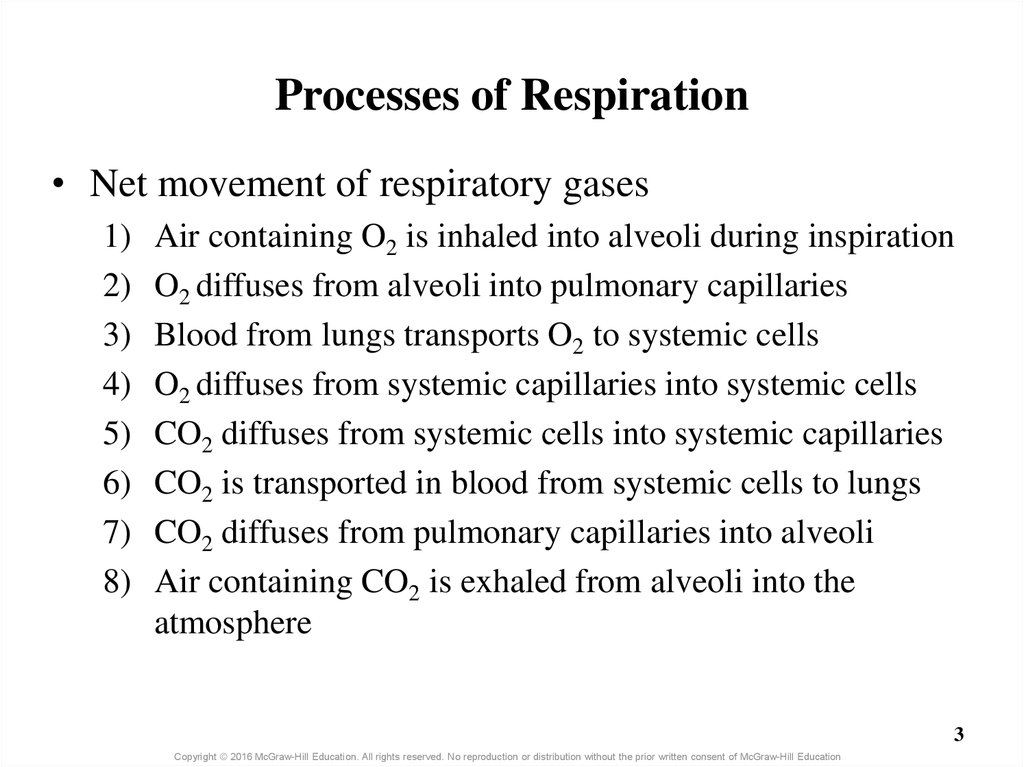 Processes of Respiration