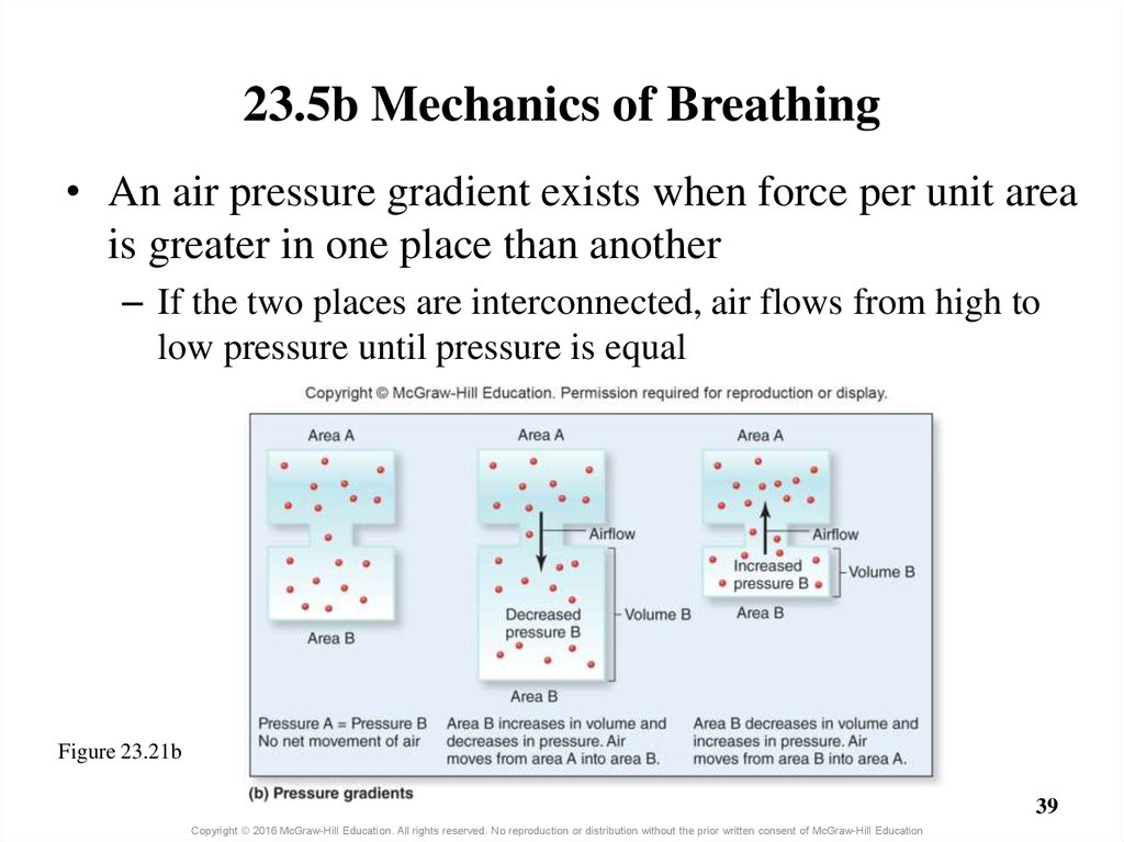 23.5b Mechanics of Breathing