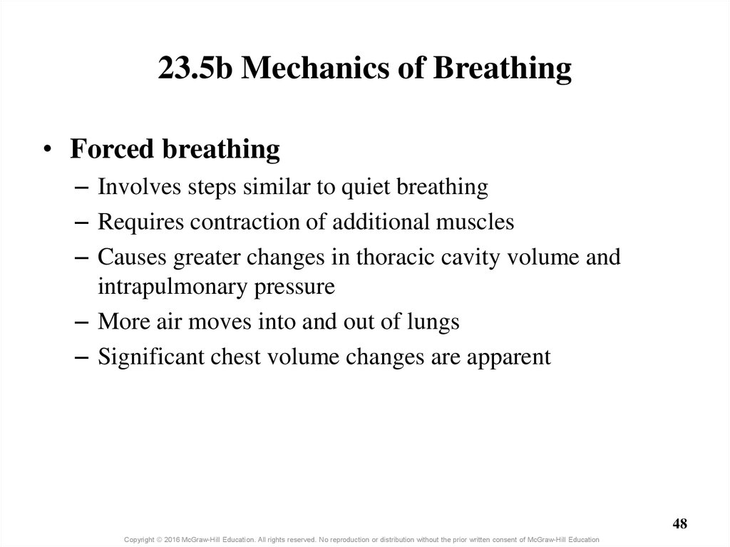 23.5b Mechanics of Breathing