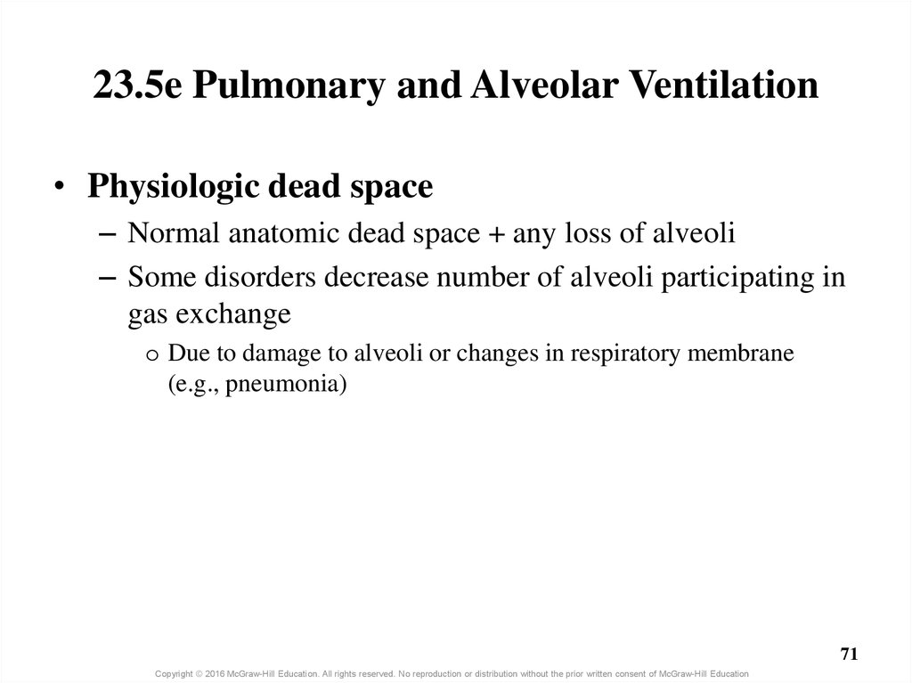 23.5e Pulmonary and Alveolar Ventilation