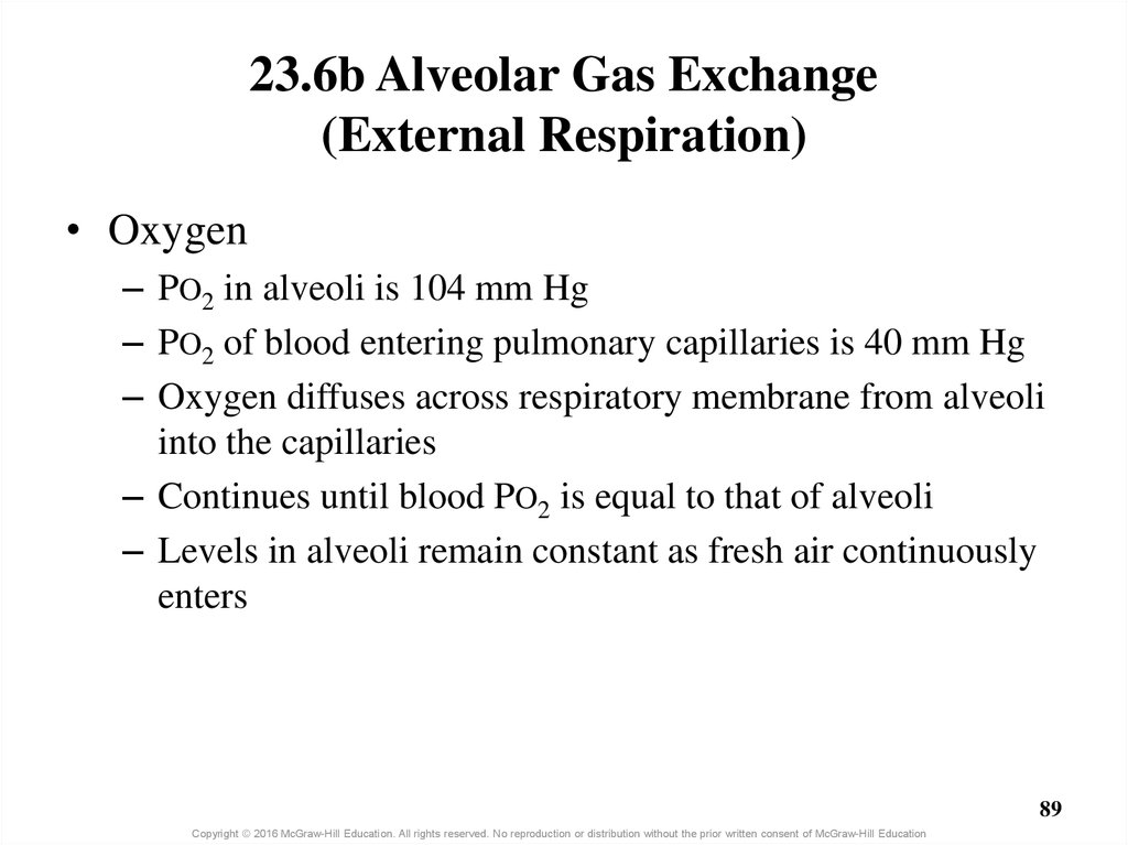 23.6b Alveolar Gas Exchange (External Respiration)