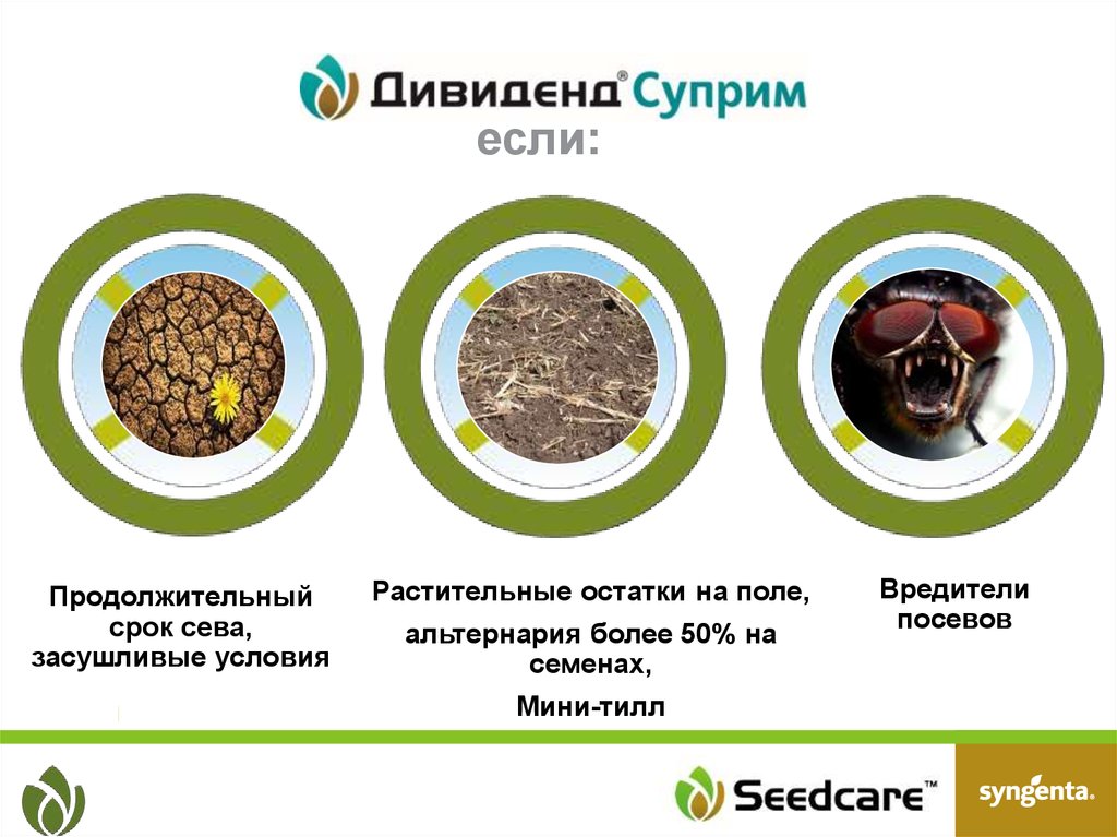 Растительные остатки. Растительные остатки 3груоппы. Seedcare больше чем защита семян.