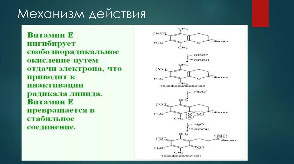 Е реакции. Механизм антиоксидантного действия токоферола. Токоферол антиоксидант механизм действия. Механизм действия витамина е. Токоферол механизм действия.