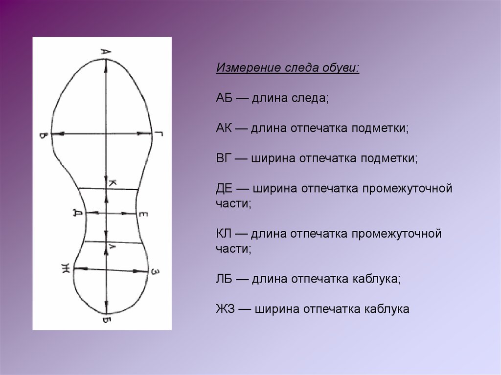 Части следа обуви