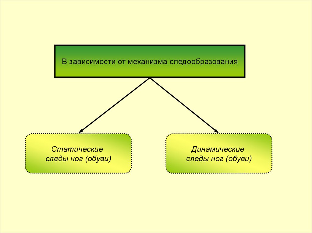 Классификация следов. Механизм следообразования в криминалистике. Статические и динамические следы. Механизм следообразования следов ног. Разновидности статических следов.