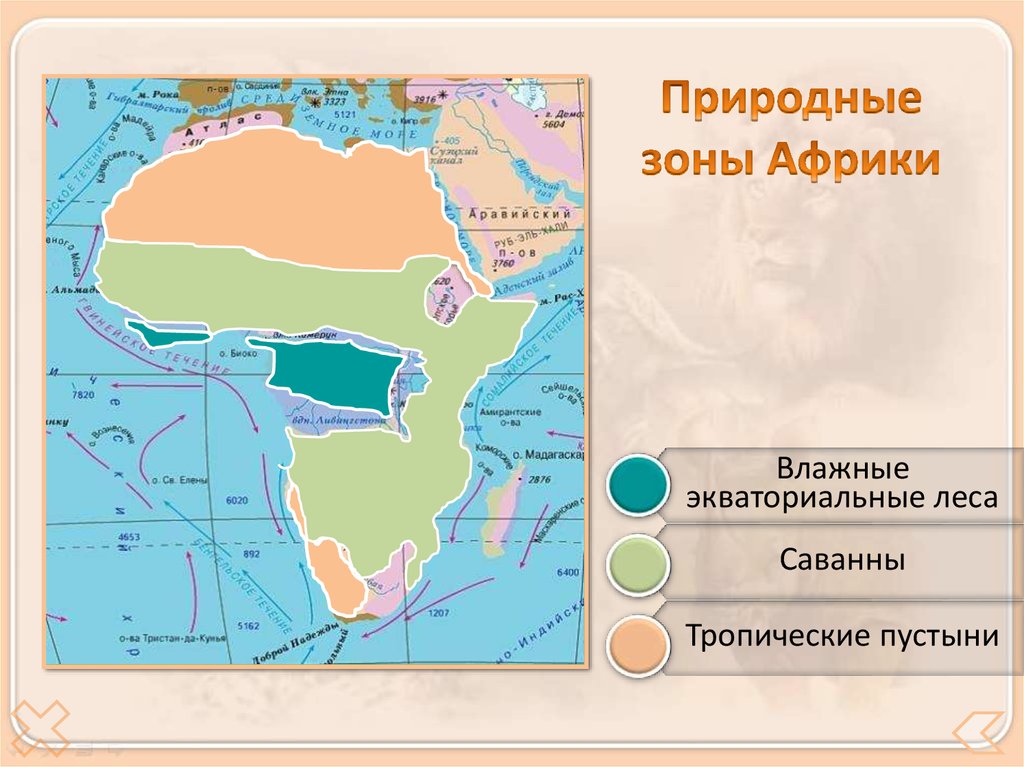 Какие природные зоны преобладают в африке