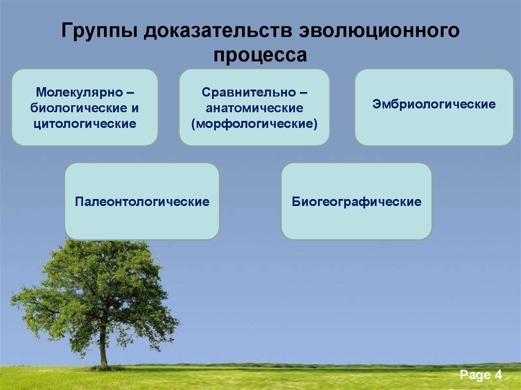 К какой группе доказательств. Группа доказательств эволюции таблица. Группы доказательств эволюционного процесса. Доказательства эволюции. Доказательство эволюции биология.