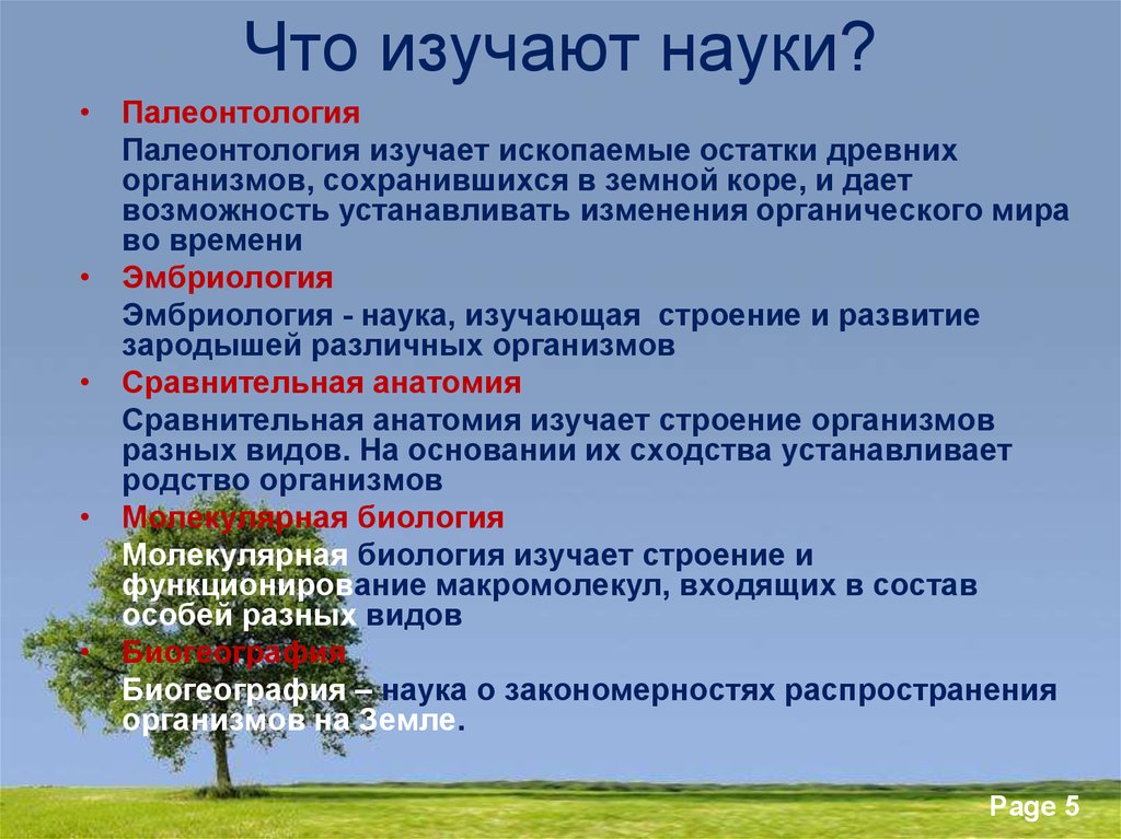 Науки изучающие древние организмы. Палеонтология это наука изучающая. Что изучает палеонтология. Наука палеонтология занимается изучением. Предмет изучения науки палеонтология.