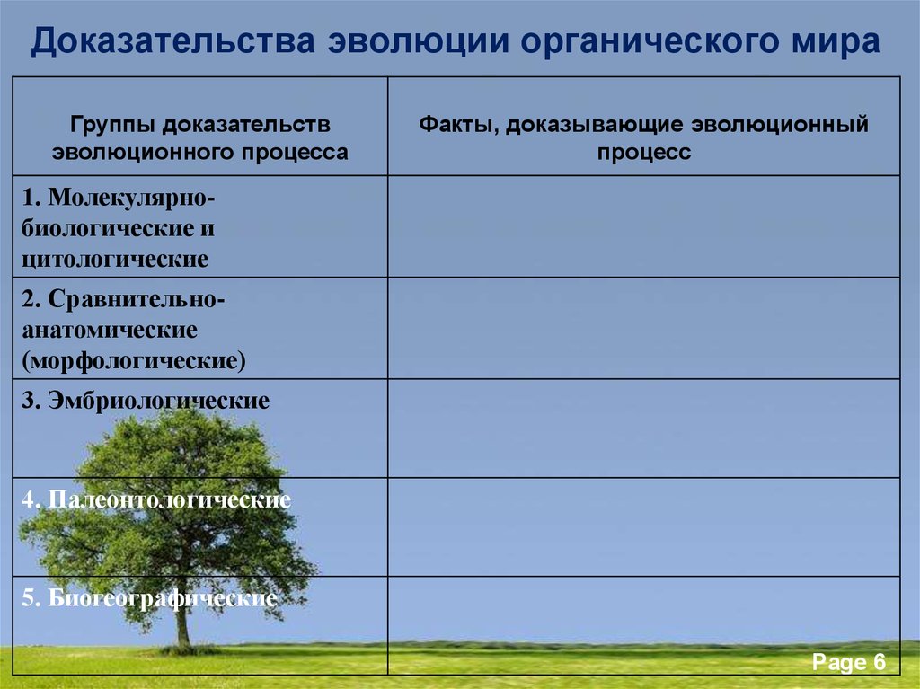 Доказательства эволюции таблица. Группы доказательств эволюции органического мира. Доказательства эволюции таблица 11 класс. Основные доказательства эволюции органического мира таблица. Таблица 1 доказательства эволюции органического мира.