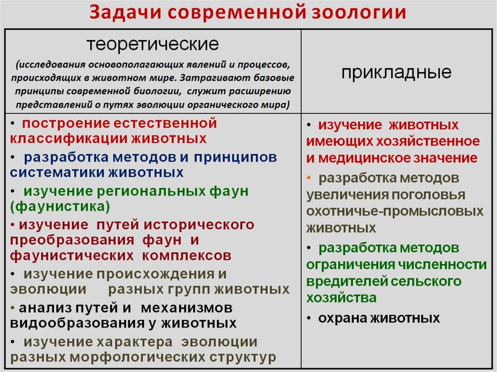 Презентация егэ биология зоология