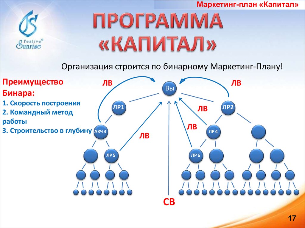 New vertex маркетинг план