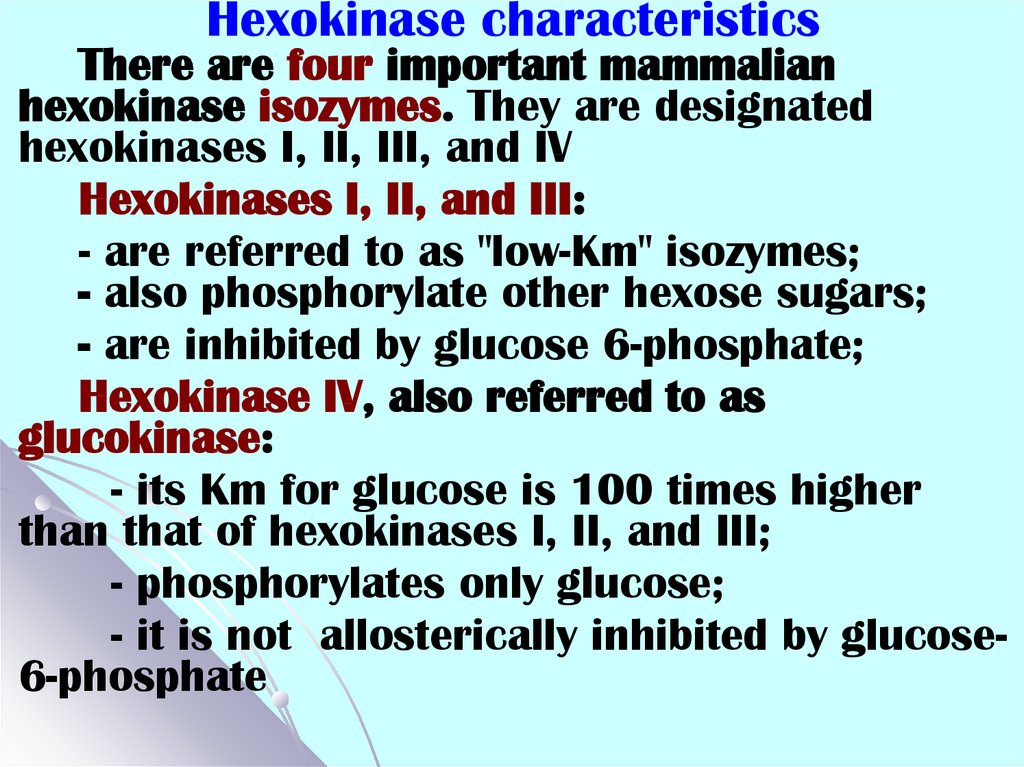 Hexokinase characteristics